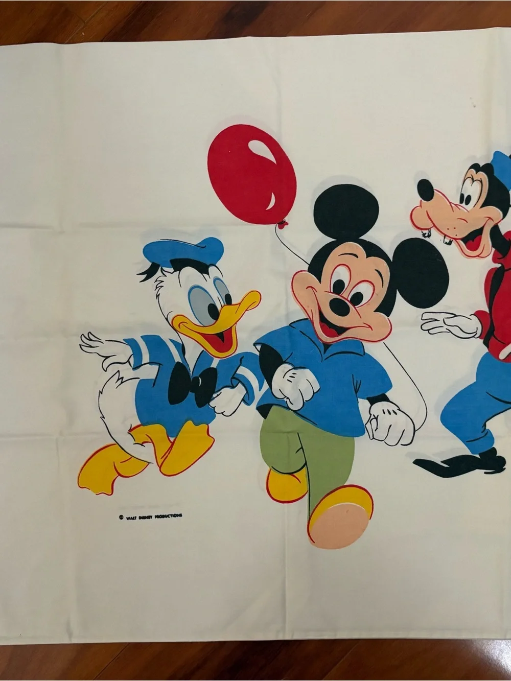 Vintage Disney pillowcases set of 2
